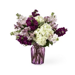 The  Violet Delight Bouquet from Clifford's where roses are our specialty